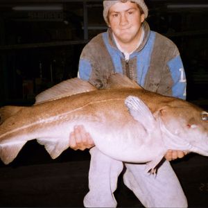 1993 to Present Day Cod, 36lb 4oz. Martin Turner. Current Jersey Record