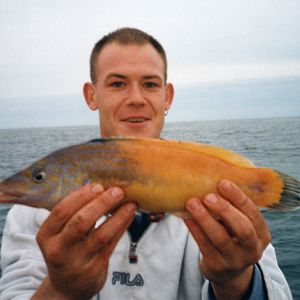 2000 to Present Day Cuckoo Wrasse, 1lb 9oz 4drms. Dwain Clarke. Current Jersey Record.